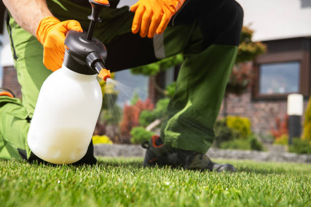 Best Flea Control Services  in Cuyahoga Falls, OH