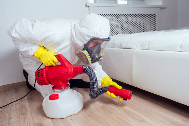 Best Local Pest Control Services  in Cuyahoga Falls, OH