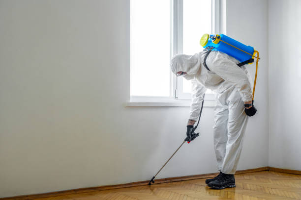 Professional Pest Control in Cuyahoga Falls, OH