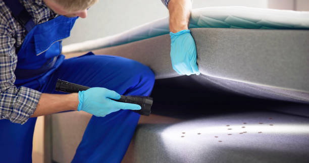 Pest Control Cost in Cuyahoga Falls, OH