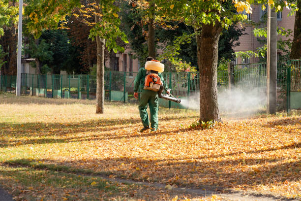 Best Termite Control Services  in Cuyahoga Falls, OH