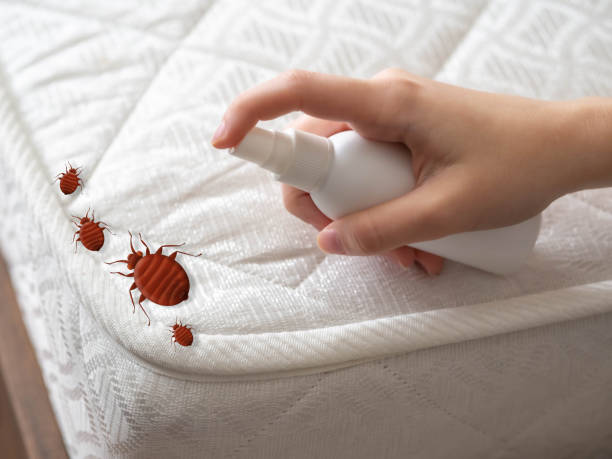 Best Affordable Pest Control Services  in Cuyahoga Falls, OH