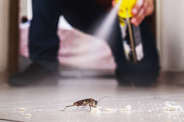 Best Pest Prevention Services  in Cuyahoga Falls, OH