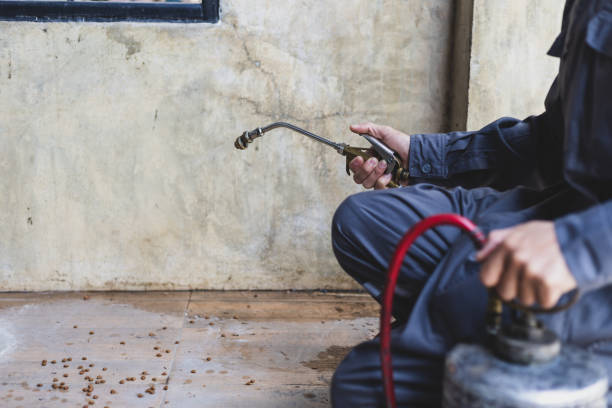 Best Residential Pest Control  in Cuyahoga Falls, OH