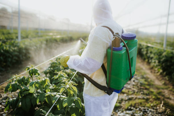 Best Bed Bug Extermination  in Cuyahoga Falls, OH